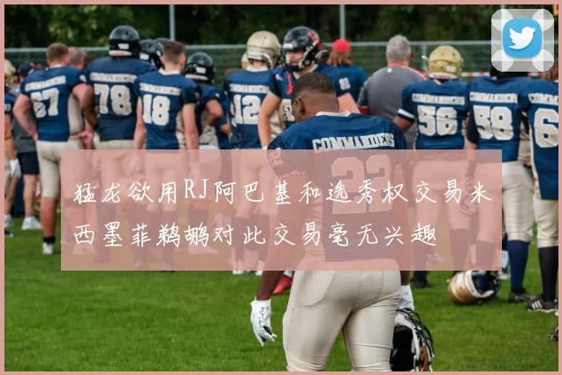 猛龙欲用RJ阿巴基和选秀权交易米西墨菲鹈鹕对此交易毫无兴趣