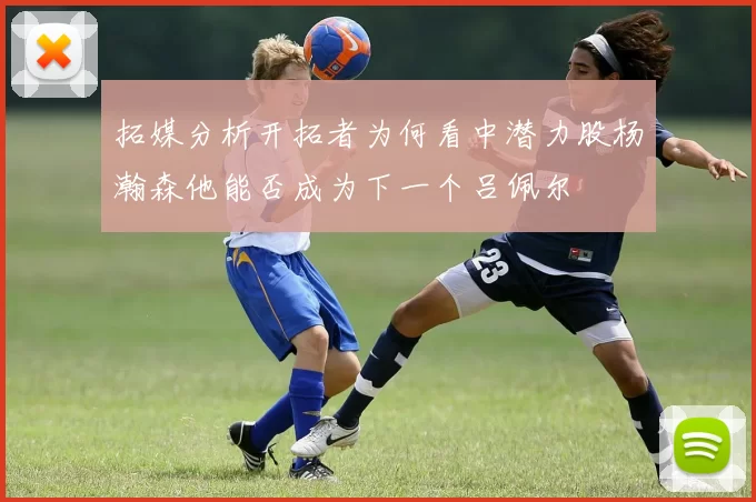 拓媒分析开拓者为何看中潜力股杨瀚森他能否成为下一个吕佩尔